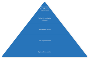 Aegis System™ tertiary learning pyramid